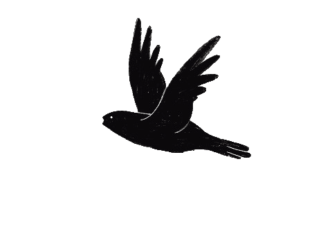 Car Scrap in Chennai, Car Scrap in Coimbatore, Bike Scrap in Chennai, Car Scrap Value in Chennai, Bike Scrap Value in Chennai, Car Scrapping in Chennai, Bike Scrap Dealers in Chennai, Scrap Car Dealers in Coimbatore, Scrap Car Dealers in Chennai, Two Wheeler Scrap in Chennai